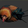 Vibrant Colored Rooster Standing With Red Comb And Colorful Plumage On Gray Background