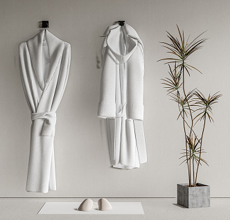 Modern Bathrobe 3d model