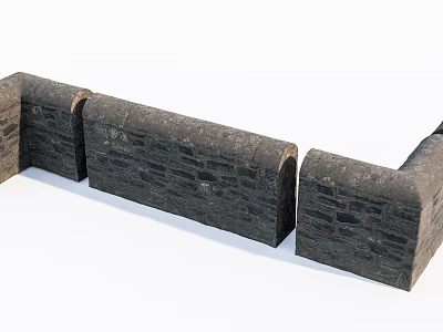 Modern Fossil Wall 3d model