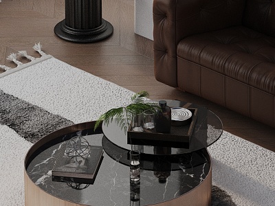 Modern coffee table model