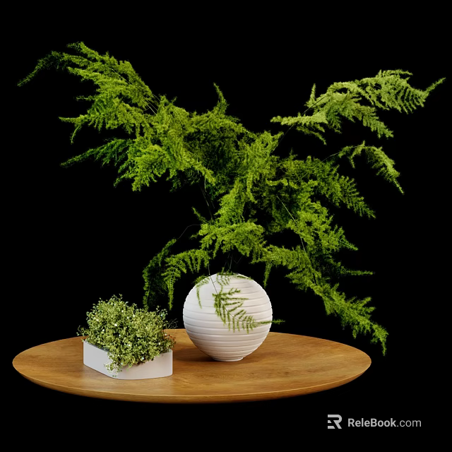 White Round Vase With Green Fern Plants And Small Square Pot On Wooden Table 3d model 