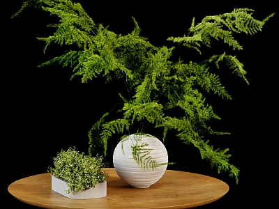 White Round Vase With Green Fern Plants And Small Square Pot On Wooden Table 3d model
