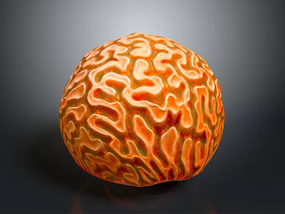 Orange Textured Single Sofa In Dark Background With Comfortable Seating Design 3d model