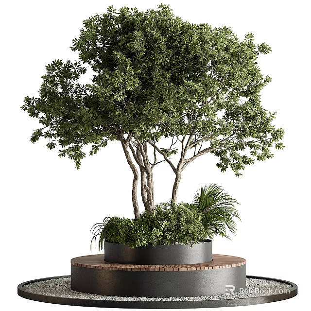 Elegant Bonsai Potted Plant With Shaped Branches And Lush Green Leaves On Wooden Base 3d model 