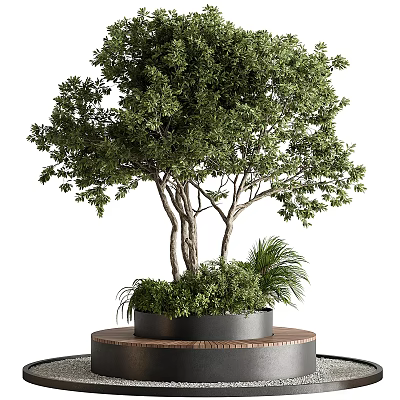 Elegant Bonsai Potted Plant With Shaped Branches And Lush Green Leaves On Wooden Base 3d model