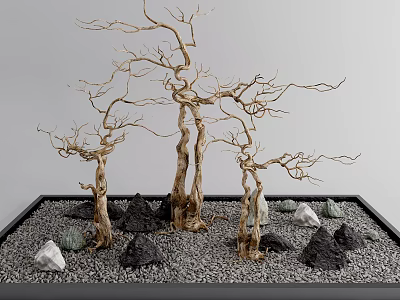 Zen Karesansui Dry Landscape Garden Design with Bare Trees Rocks and Gravel 3d model