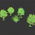 Five Seasonal Trees with Red Orange White Foliage and Various Forms