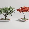 Modern Tree Pond Tree Pond Landscape Tree 3d model