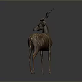 Greater Kudu Antelope With Striped Body Standing On Gray Background Featuring Long Curved Horns