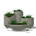 Concrete Bonsai Potted Plants With Irregular Geometric Planters And Green Grass