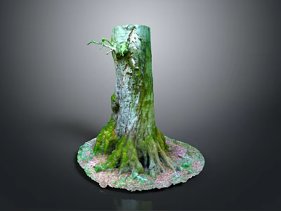 Ancient Tree Stump With Lush Green Moss On Trunk And Leaf Covered Ground 3d model