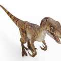 Velociraptor Dinosaur Standing With Striped Skin Long Tail And Open Mouth