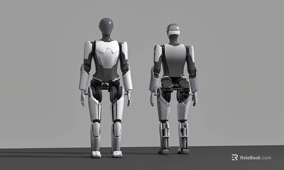 Intelligent Humanoid Robots Front And Back View With Mechanical Structure And Joints Design 3d model 