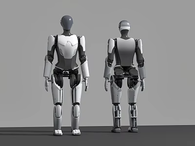 Intelligent Humanoid Robots Front And Back View With Mechanical Structure And Joints Design 3d model