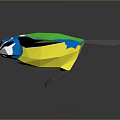 Blue And Green Bird With White Edges Gliding On Gray Background With Reflection