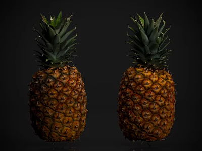 Two Fresh Ripe Pineapples With Green Crowns Displayed On Black Background 3d model