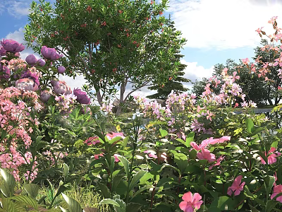 Colorful Flowers And Green Trees In Lush Sunny Garden With Pink Purple Blooms 3d model