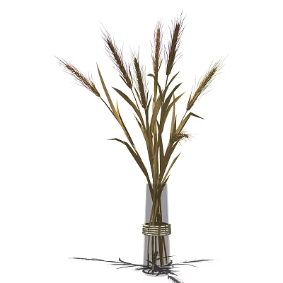 Natural Wheat Stalks Arrangement In Transparent Vase With Woven Base 3d model
