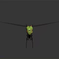 Green Dragonfly With Red Transparent Wings Perched On Shiny Black Surface
