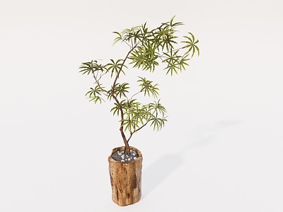 Ji Feng Green Plant Bonsai model