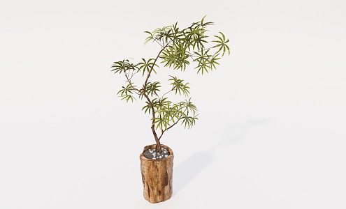 Ji Feng Green Plant Bonsai 3d model