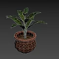 Indoor Green Leaf Plant in Brown Ceramic Pot with Geometric Patterns 3d model