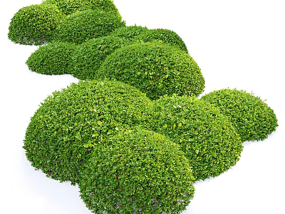 Lush Green Round Shaped Bushes With Dense Foliage Arranged In A Row 3d model
