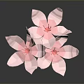 Several Pink Paper Flowers with Delicate Petals on Black Background and Shiny Reflections