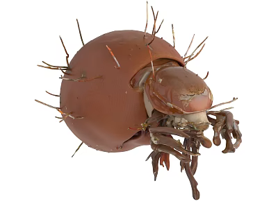 Detailed View Of Brown Parasitic Insect With Spiny Body And Legs 3d model