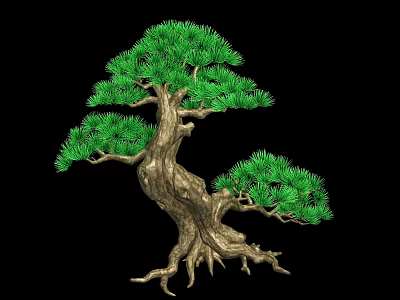 Artistic Bonsai Tree With Green Pine Needles Thick Trunk And Exposed Roots Against Black Background 3d model