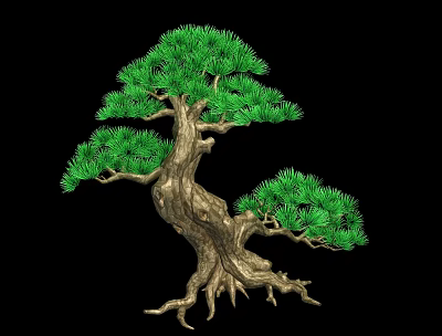 Artistic Bonsai Tree With Green Pine Needles Thick Trunk And Exposed Roots Against Black Background 3d model