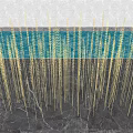 Golden Wheat Ear Shaped Outdoor Lights Arranged On Ground With Blue Water Background