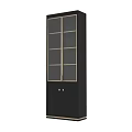 Elegant Modern Cabinet Design With Black Finish Gold Trim And Glass Doors