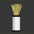 White Vase With Black Rim Holding Yellow Wheat Ears On Dark Background