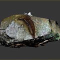 Modern Cave Mountain Cave Cave Cave 3d model