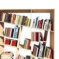 Modern Bookcase Design With Multiple Shelves And Various Sized Compartments Filled With Books