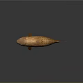 Orange Carp Aquatic Animal With Detailed Scales And Shiny Skin Texture