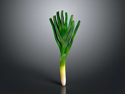 Fresh Green Leek With Vibrant Leaves And White Root On Dark Background 3d model