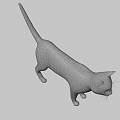 Gray And White Cat With Yellow Eyes In Standing Alert Stance