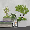 Wooden and White Flower Pots with Lavender Green Plants and Small Trees Interior
