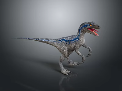 Realistic Velociraptor Dinosaur Model With Grey Body Blue Stripes And Open Mouth 3d model