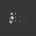 Vibrant Garden Plants With Pink Purple Yellow Flowers Green Leaves And Grass