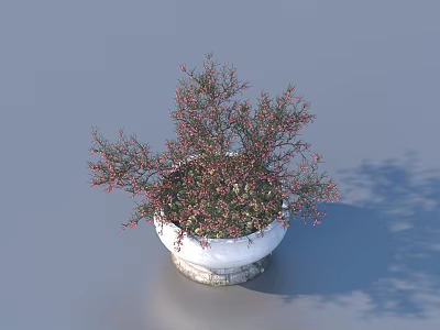 Bonsai Potted Plant With Green Leaves And Red Berries In White Ceramic Pot 3d model