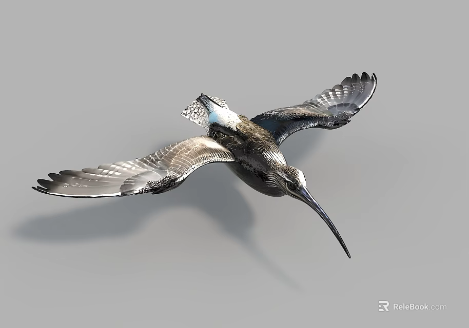 Flying Bird With Long Beak And Spread Wings Against Gray Background 3d model 