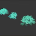 Three Blue and Green Trees with Lush Foliage on White Background