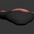 Detailed Animal Paw With Five Pink Toe Pads And Dark Textured Surface