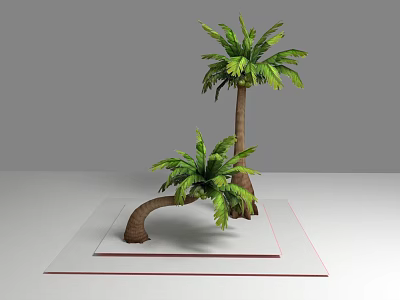 Two Palm Trees With Tall Straight And Short Curved Trunks Green Fronds On White Platform 3d model