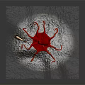 Large Red Octopus With Green Glass Bottle On Dark Rocky Seabed