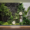 Indoor Plant Combination With Tropical Greenery Stone Wall And Round Decor Elements