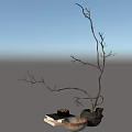 Modern Decorative Black Vase with Leafless Branches Books and Bowl Accent